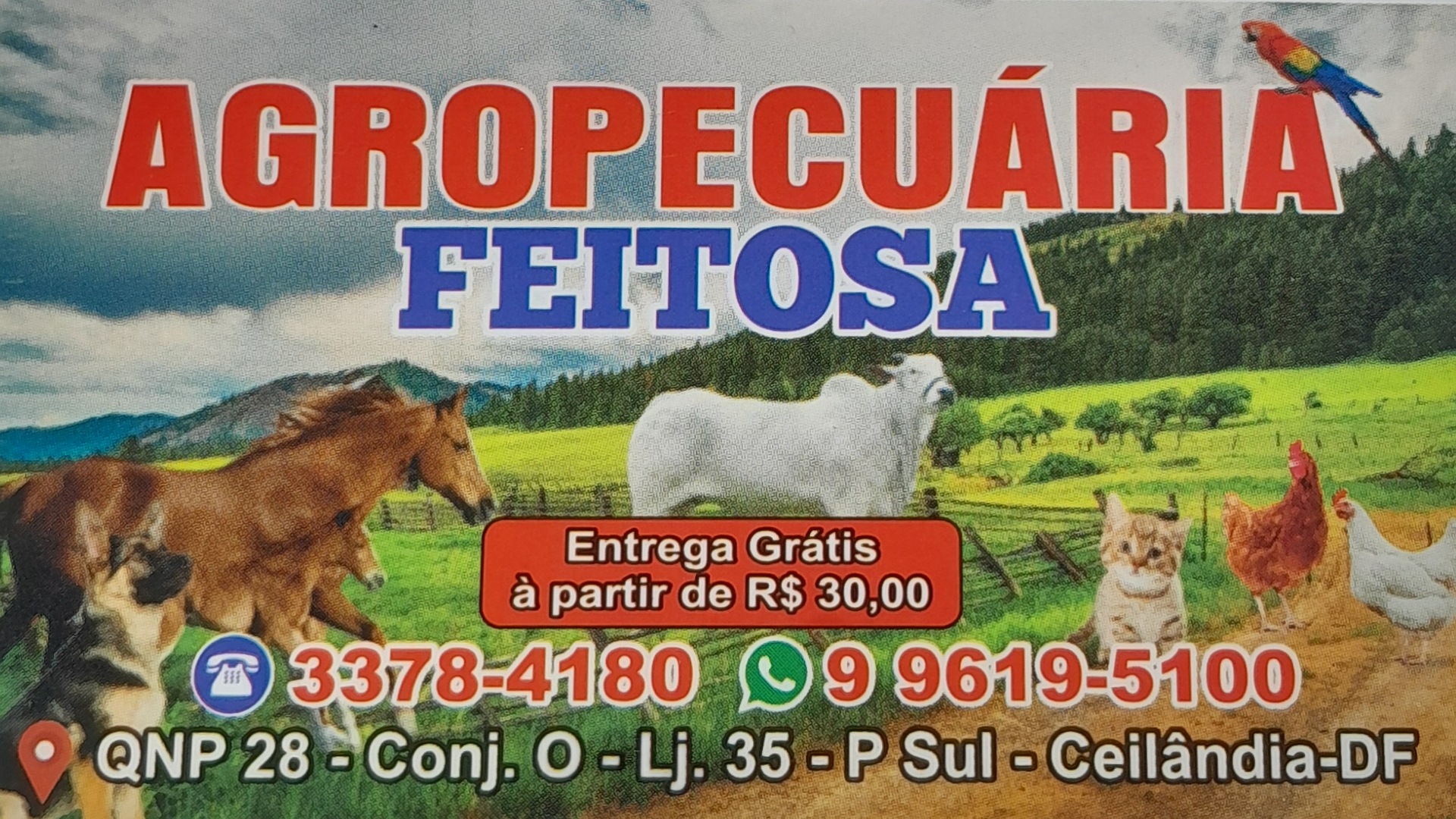 AGROPECUÁRIA FEITOSA 